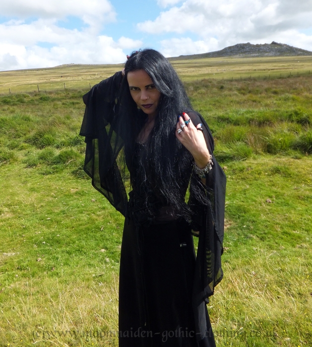 Renaissance Mesh Maiden Top