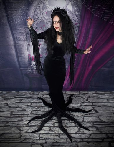 Carolyn Jones Morticia Dress