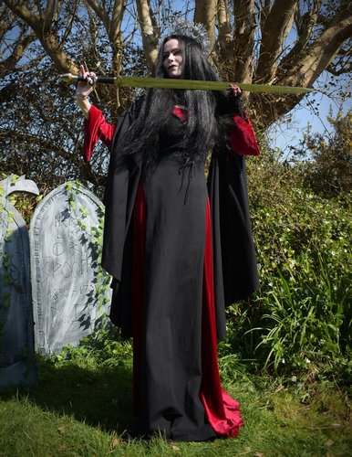 Shieldmaiden Overdress