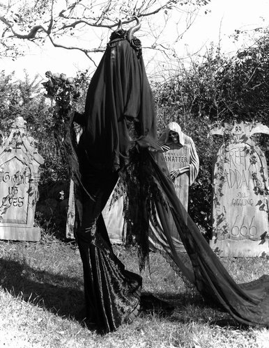 Yharnham Cathedral Veil