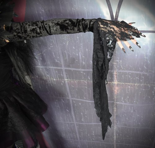 Morticia Raven Gloves