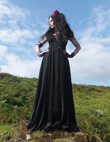 Lady Boleyn Gown