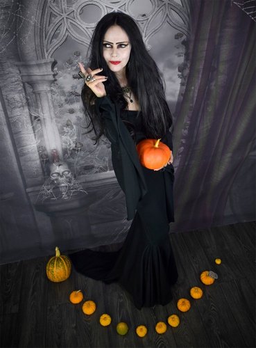 Morticia Raven Dress